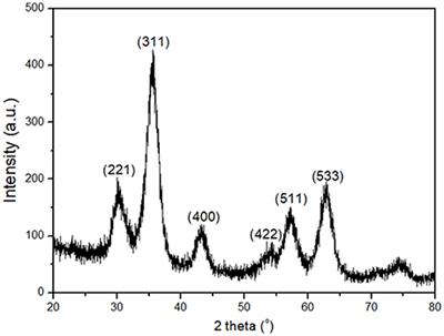 Hybrid Nanomaterials of Magnetic Iron Nanoparticles and Graphene Oxide as Matrices for the Immobilization of β-Glucosidase: Synthesis, Characterization, and Biocatalytic Properties